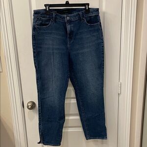 Talbots Indigo Straight Leg Jeans